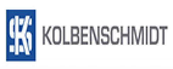 Pleuellagersatz Kolbenschmid Übermaß 0.25mm Audi 5 Zylinder 20V Turbo Pleuellagersatz Kolbenschmid Übermaß 0.25mm Audi 5 Zylinder 20V Turbo
