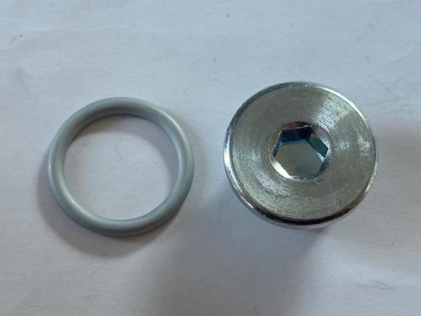 Ölablassschraube mit Dichtring M24x1,5mm Ölablassschraube mit Dichtring M24x1,5mm