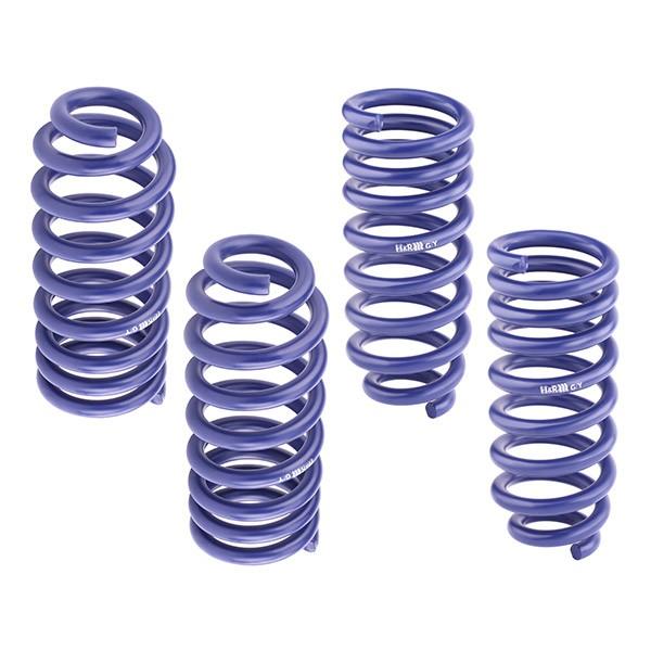 H&R Sportfedernsatz Audi C4 Quattro 100/A6/S4/S6 H&R Sportfedernsatz Audi C4 Quattro 100/A6/S4/S6
