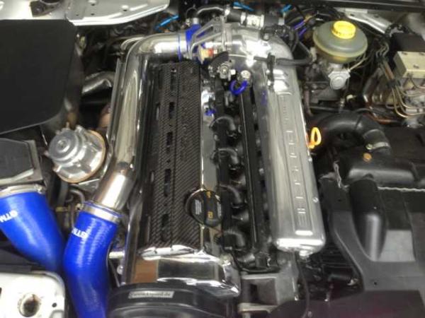 O Ring Wasserpumpe Audi 5 Zylinder 10V & 20V inkl. Turbo